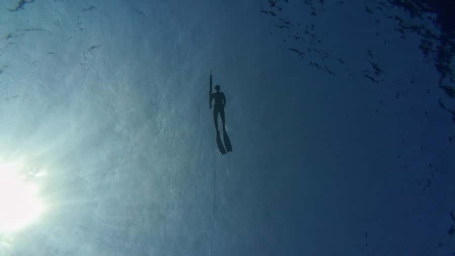 Amed: Spearfishing, Freediving and Catch & Cook Adventure - Who should book this Amed spearfishing and catch-and-cook day