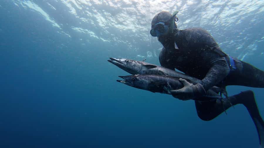 Amed: Spearfishing, Freediving and Catch & Cook Adventure - Safety briefing and gear setup: the part that makes you confident