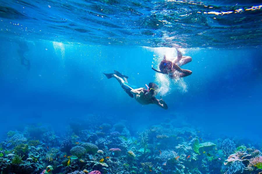 Amed: Tirta Gangga, Jemeluk Bay, & Virgin Beach Day Trip - East Bali in one day, minus the guesswork
