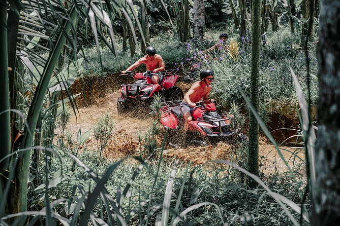 ATV Quad Bike Bali with Waterfall Gorilla Cave and Lunch - Single vs Tandem ATVs: Choosing the Right Ride for Your Group