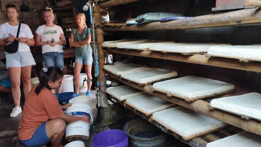Authentic Yogya Bicycle Tour - Stingless bee farm honey: education with a real taste test