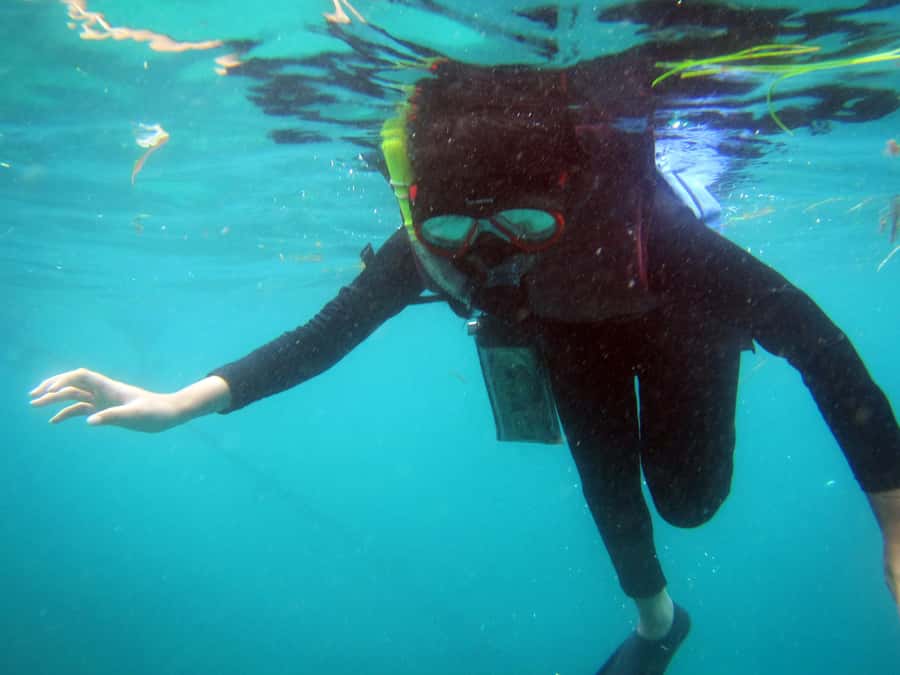 Bali: 1 Hour Snorkeling at Nusa Dua Beach - Key Points to Know Before You Go
