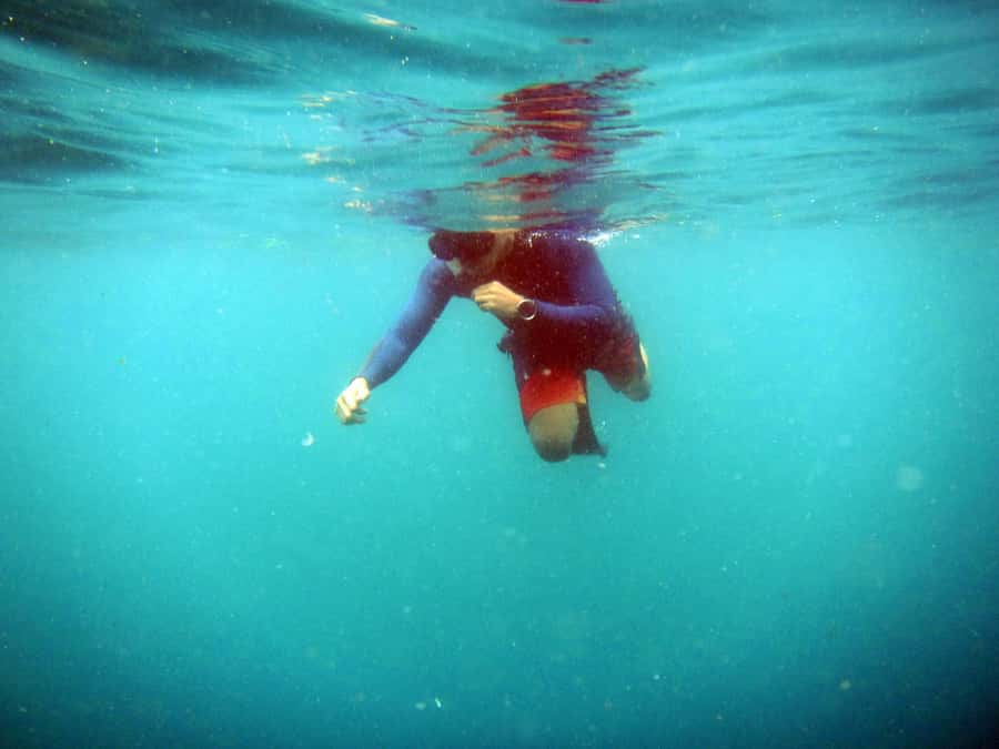 Bali: 1 Hour Snorkeling at Nusa Dua Beach - Why Nusa Dua Beach Snorkeling Fits a Tight Bali Schedule