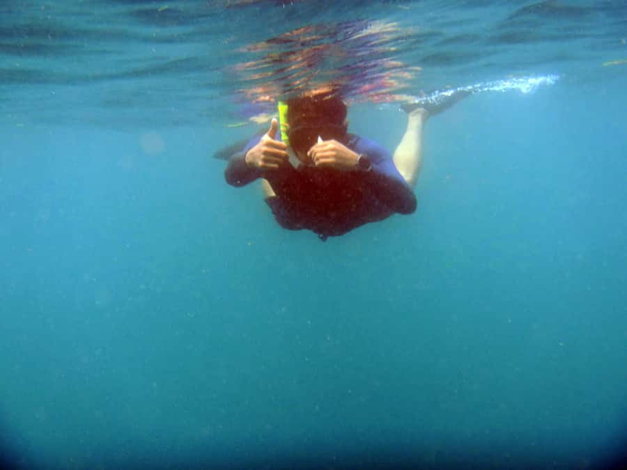 Bali: 1 Hour Snorkeling at Nusa Dua Beach - Orientation, Gear, and Safety: What You Get Before the Water