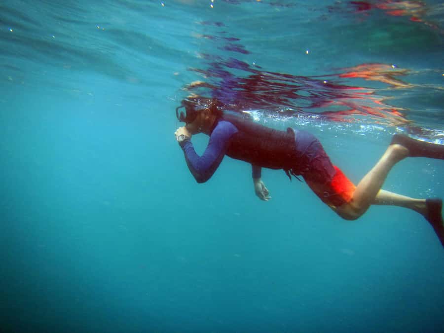Bali: 1 Hour Snorkeling at Nusa Dua Beach - What You’ll See in the Water During Your Hour