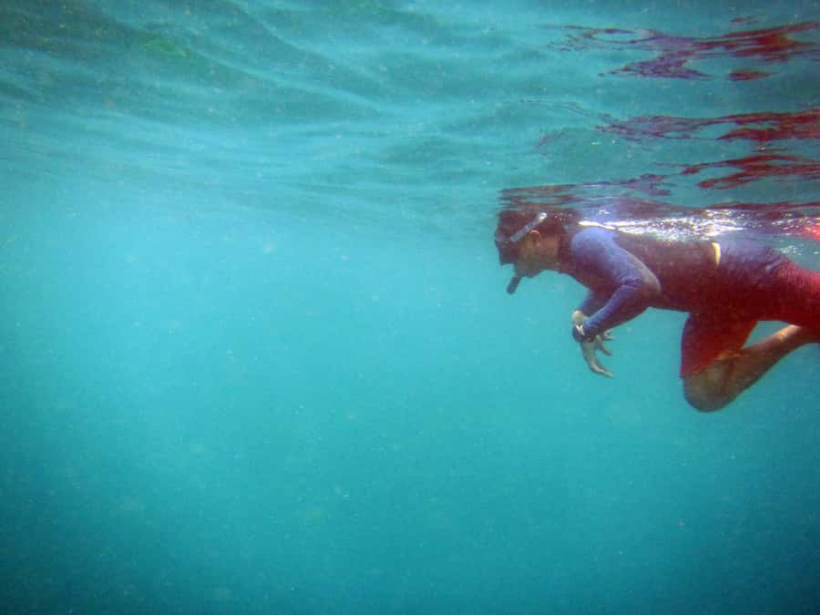 Bali: 1 Hour Snorkeling at Nusa Dua Beach - Price and Value: Is $13 Worth Your Time?