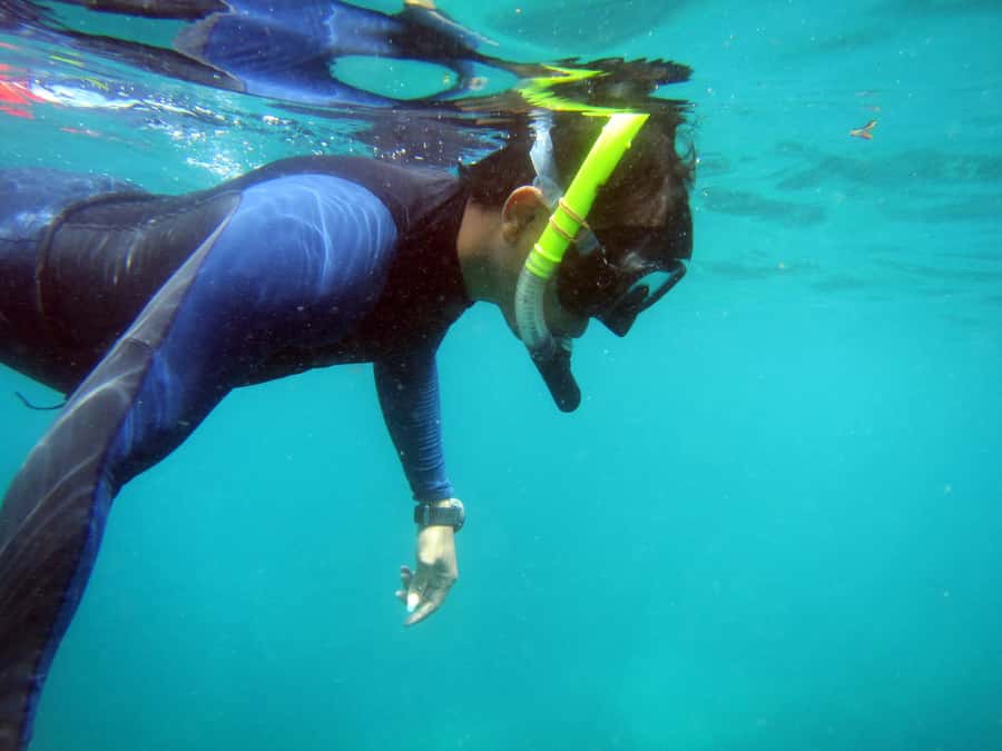 Bali: 1 Hour Snorkeling at Nusa Dua Beach - Logistics You Should Not Ignore: Pickup, Food, and Meeting Time