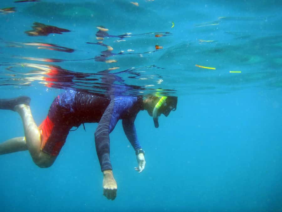 Bali: 1 Hour Snorkeling at Nusa Dua Beach - Who This Snorkeling Tour Is Best For