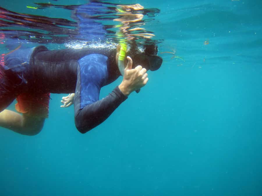 Bali: 1 Hour Snorkeling at Nusa Dua Beach - Meeting Bayu Suta Water Sport, Find Mr Agung