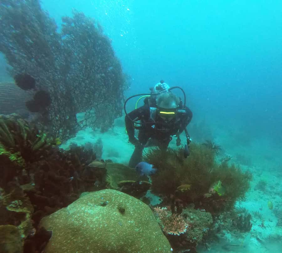 Bali: 2-Day PADI Advanced Open Water Course - Key highlights worth caring about