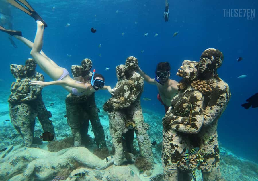 Bali: 3-Day Private Gili Islands Snorkel Tour with Hotel - Day 2: A private 2.5-hour snorkel boat tour, Bask Nest, and sea life moments