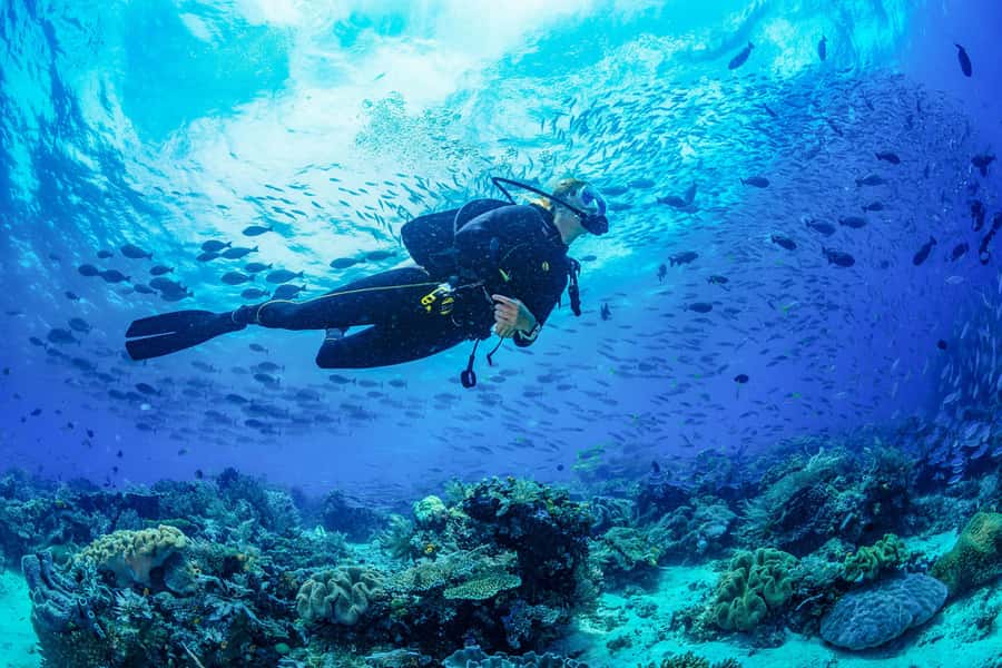 Bali: 3-Days PADI Open Water Diving Course - Why 3 Days Works: PADI Open Water pacing in Bali