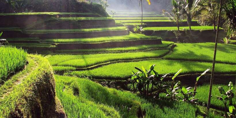Bali: 3 Waterfalls and Tegalalang Rice Terrace Private Tour - Kanto Lampo Waterfall: that shallow photo pool
