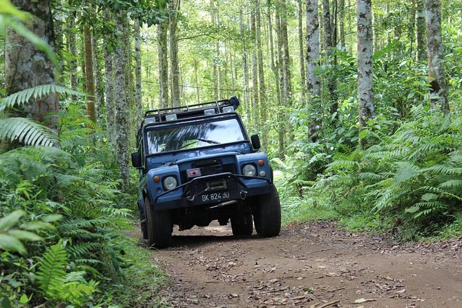 Bali 4WD Adventure - Lake Bratan lunch stop: Indonesian buffet with a cooling pause