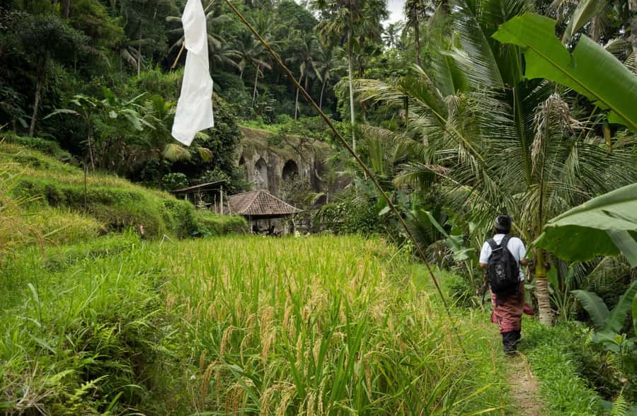 Bali: 6-Hour UNESCO Sites Cultural Walking Tour - Price and Time, What the $50 Really Covers