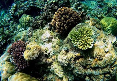 Amed, Jemeluk & Lipah Beach Snorkeling Adventure