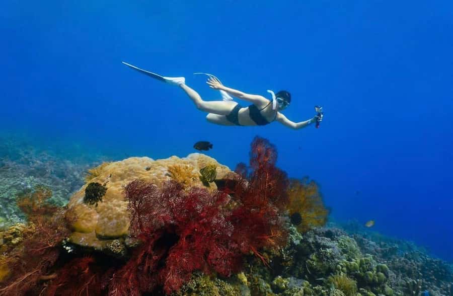 Bali: Amed, Jemeluk & Lipah Beach Snorkeling Adventure - Bunutan Beach or Selang Beach: The Calmer Options When You Want Less Rush
