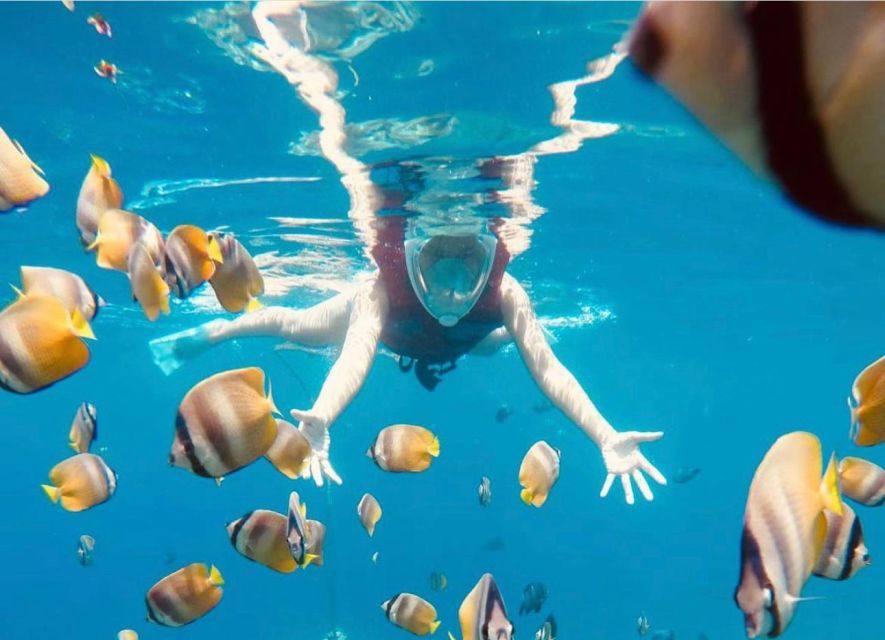 Bali: Amed, Jemeluk & Lipah Beach Snorkeling Adventure - What You’ll Get for $27: Value, Gear, Entry Fees, and a Real Guide