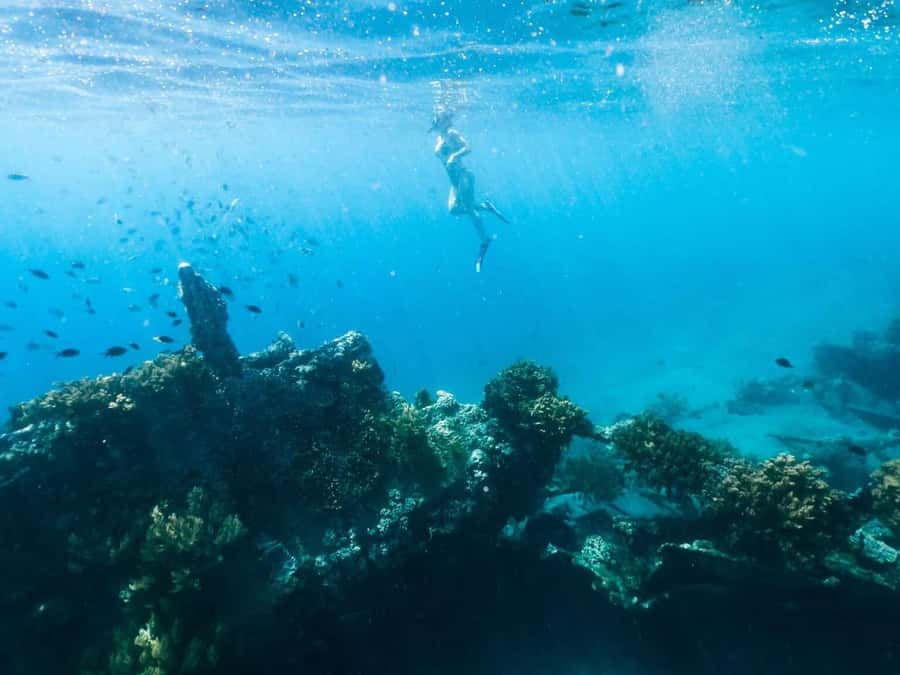 Bali/Amed: Underwater Temple Snorkeling Experience - Price and value: what $40 gets you, and what it does not