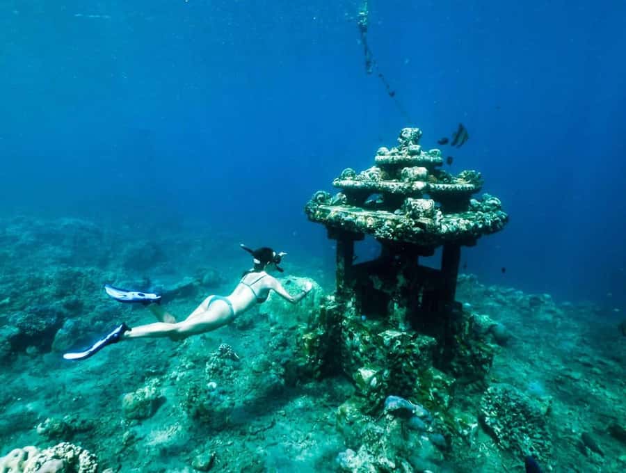 Bali/Amed: Underwater Temple Snorkeling Experience - Who this Amed snorkeling tour is best for
