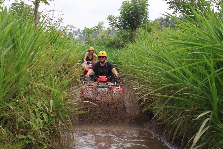 Bali: ATV Gorilla Cave, Ubud Monkey Forest, & Waterfall Tour - Price and Value: Why $53 Can Be a Good Deal