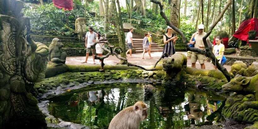 Bali: ATV Gorilla Cave, Ubud Monkey Forest, & Waterfall Tour - Who Should Book This Tour, and Who Might Prefer Something Else