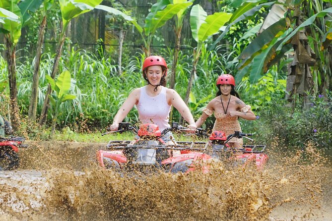 Bali ATV Quad Adventure - Ubud Monkey Forest and Waterfall - Monkey Forest Sanctuary: watching Bali’s cheeky locals with guardrails