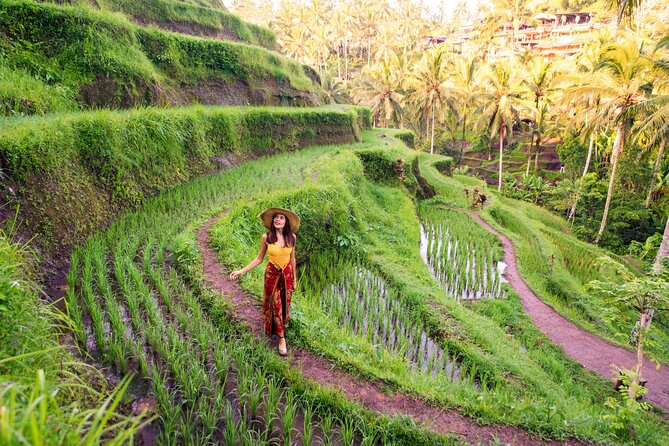 Bali ATV Quad Bike Adventures - Price and value check: why the cheapest option can get tricky