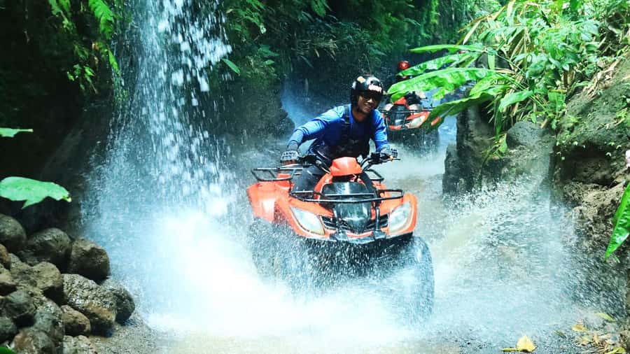 Bali: ATV Quad Bike, Monkey Forest, Jungle Swing with Lunch - Key highlights worth knowing before you go
