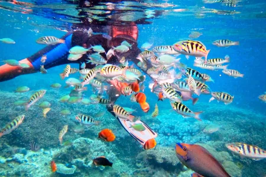 Bali: ATV Ride and Snorkeling Tour with Hotel Transfer - The Break and the Indonesian Lunch You’ll Appreciate More Than You Think
