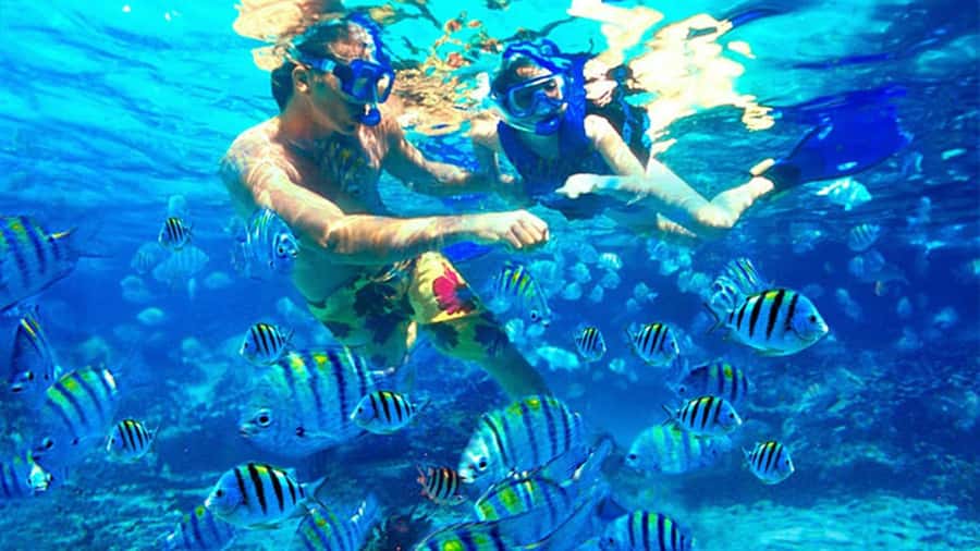 Bali: ATV Ride and Snorkeling Tour with Hotel Transfer - Blue Lagoon Beach and Tanjung Jepun: Your 2-Hour Snorkeling Safari