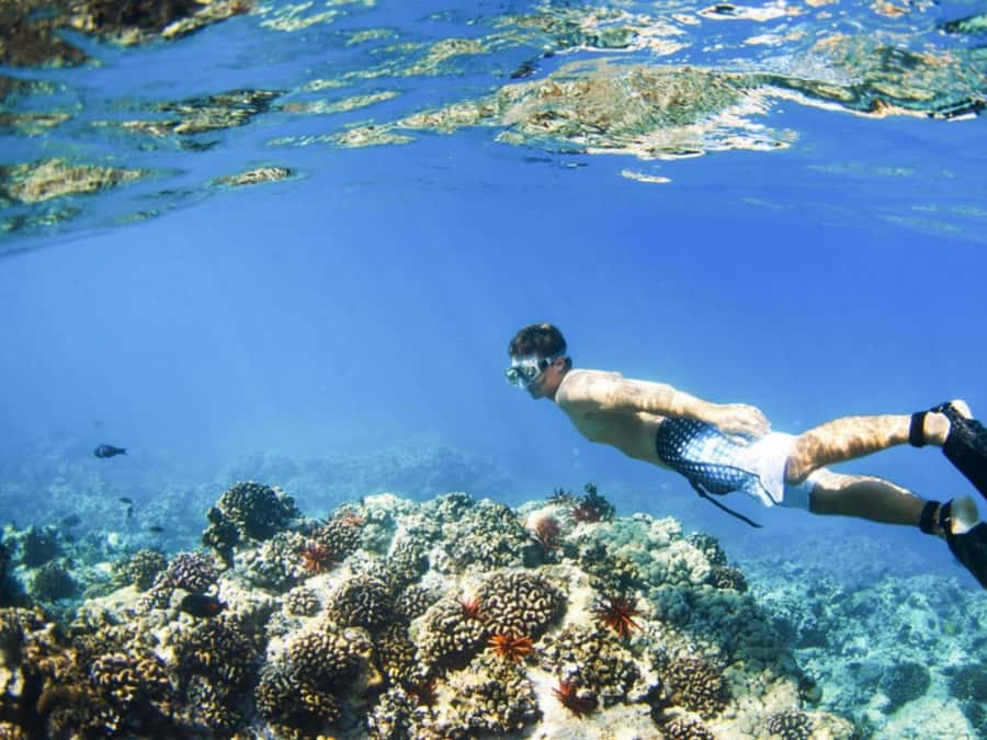 Bali: ATV Ride and Snorkeling Tour with Hotel Transfer - Price and Value for a $89, 7-Hour Day