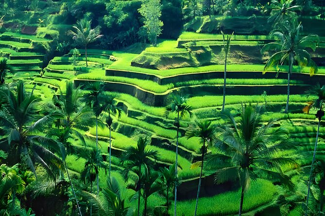 Bali ATV Ride And Ubud Tour Packages : Best Quad Bike Trip - Tegenungan Waterfall: why this classic still works