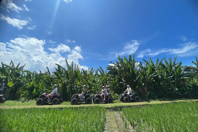 Bali ATV Ride On the Beach, Rice Field and Village Tour 2 Hour - Entering the Ribcage of Bali: why this route feels different