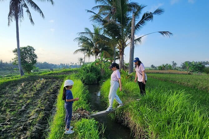 Bali ATV Ride On the Beach, Rice Field and Village Tour 2 Hour - The main event: Pasut Beach black sand ATV riding