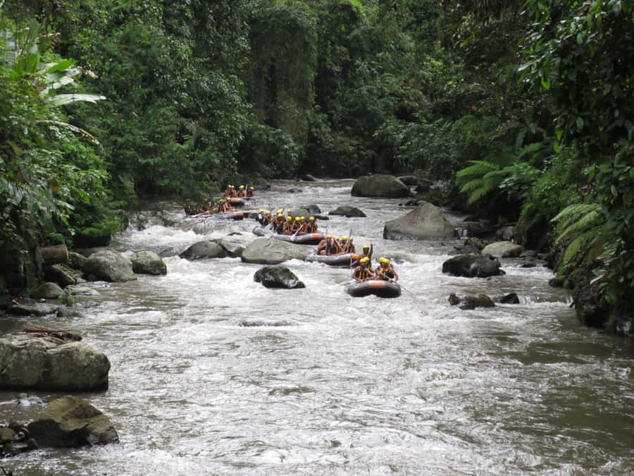 Bali: ATV, Water Rafting, and Monkey Forest Tour - Lunch, bottled water, and small comfort wins that add up