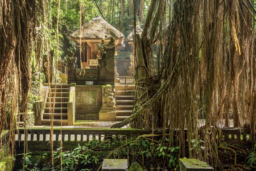 Bali: ATV, Water Rafting, and Monkey Forest Tour - What to bring for Bali ATV, rafting, and monkeys