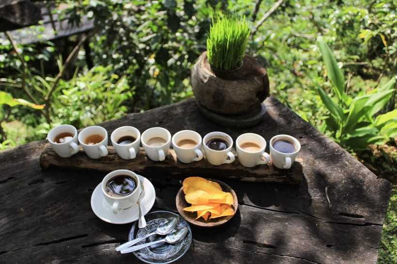 Bali: Authentic Culinary Street Food Experience Tour - The star dish moment: babi guling and why it matters