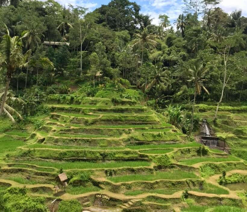 Bali: Bali Insta Journey Private Tour (All-Inclusive) - Tirta Gangga: royal gardens, fountains, and koi ponds