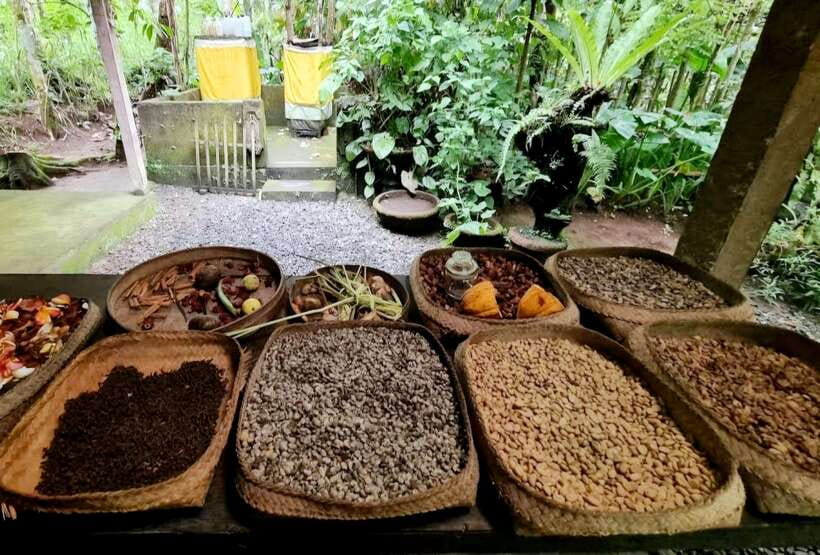 Bali: Bali Insta Journey Private Tour (All-Inclusive) - How the 12-hour route feels day-to-day