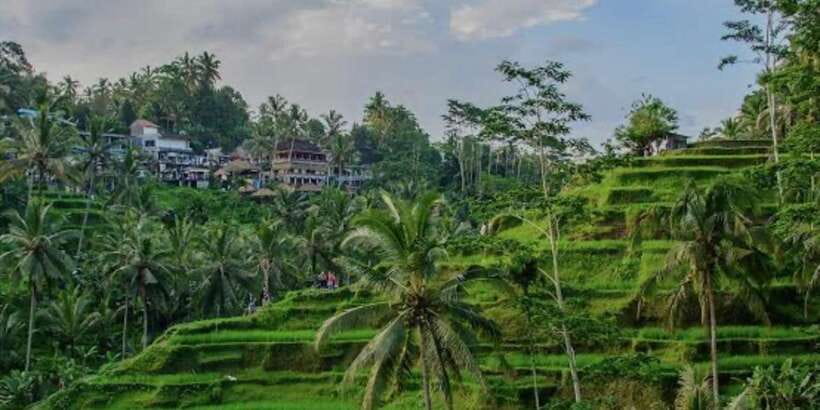 Bali: Bali Swing, Monkey Forest, Rice Terrace, Waterfall - Hotel return transfer, private group, and why it matters
