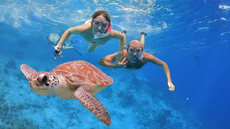 Bali: Basic Snorkeling at Menjangan Island - Price and Value, What $40 Actually Buys You