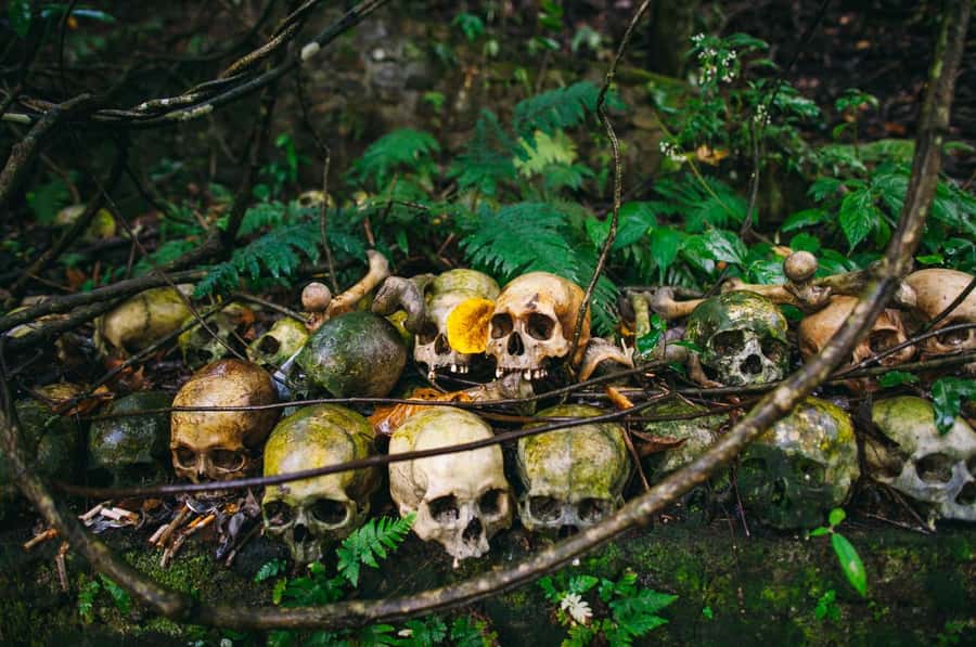 Bali/Batur: Mystical & Burial Rituals Tour with Kehen Temple - Trunyan Village Cemetery: The Bamboo Cages Under Taru Menyan