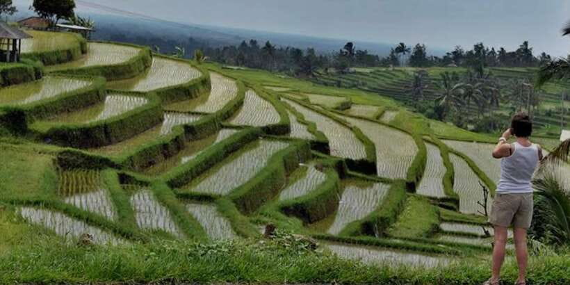Bali: Bedugul, Jatiluwih, Taman ayun, Tanah lot private tour - Jatiluwih Rice Terraces: UNESCO Subak and Tri Hita Karana in real life