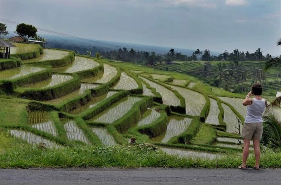 Bali: Bedugul, Jatiluwih, Taman ayun, Tanah lot private tour - Tanah Lot Temple: ocean cliffs and icon-level sunset views