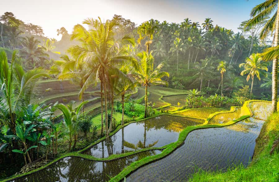 Bali: Besakih Great Temple Tour with Waterfal & Rice Terrace - Besakih Mother Temple: understanding the sacred complex on Mount Agung’s slopes