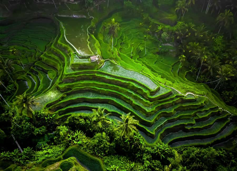 Bali: Besakih Great Temple Tour with Waterfal & Rice Terrace - FAQ
