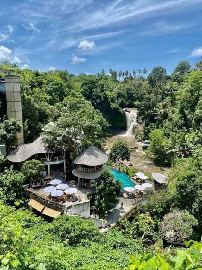 Bali: Best of Ubud Waterfalls Tour - Key highlights you will care about