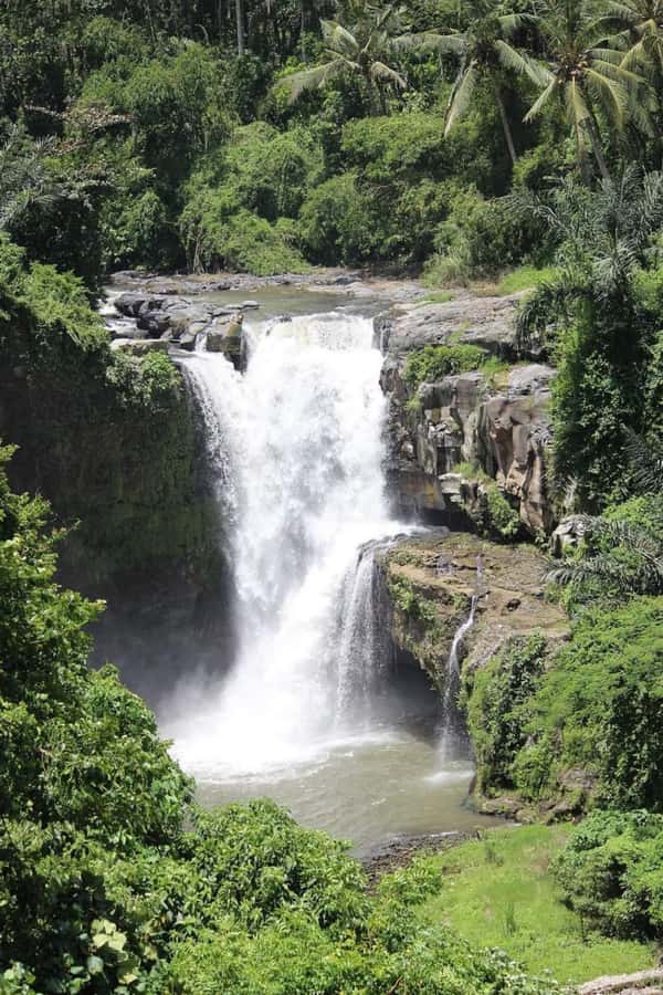 Bali: Best of Ubud Waterfalls Tour - Why this Ubud waterfall route works for photos and pacing