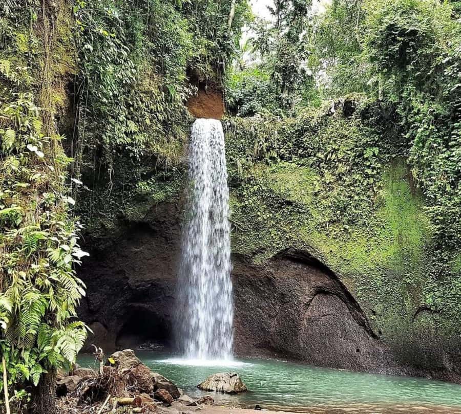 Bali: Best of Ubud Waterfalls Tour - The guide and driver difference, from Ketut to Gede